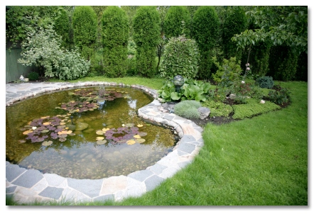 backyard-with-pond-69_15 Двор с езерце
