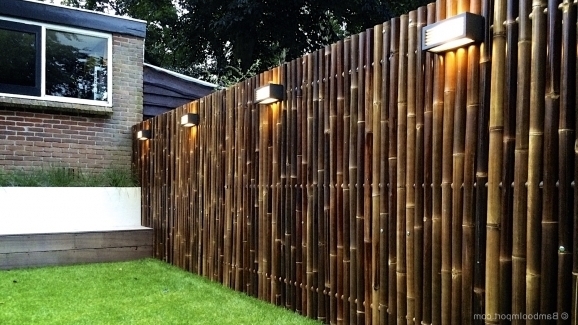 bamboo-fence-ideas-78_16 Бамбук ограда идеи
