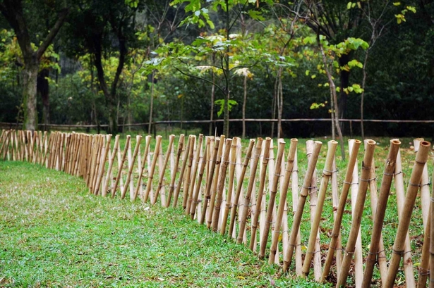 bamboo-fence-ideas-78_9 Бамбук ограда идеи