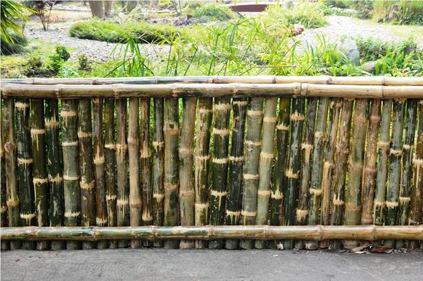 bamboo-fencing-ideas-69_13 Бамбук фехтовка идеи