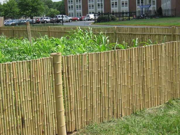 bamboo-fencing-ideas-69_9 Бамбук фехтовка идеи