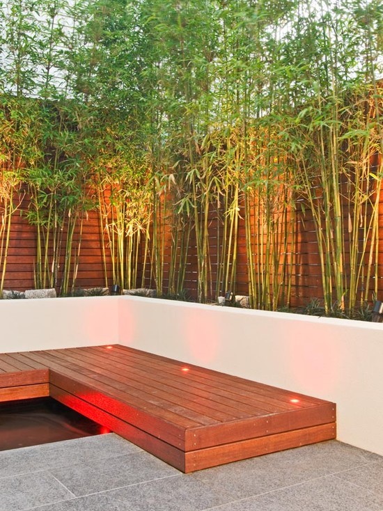 Бамбук градина дизайн