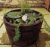 barrel-pond-ideas-16 Барел езерце идеи