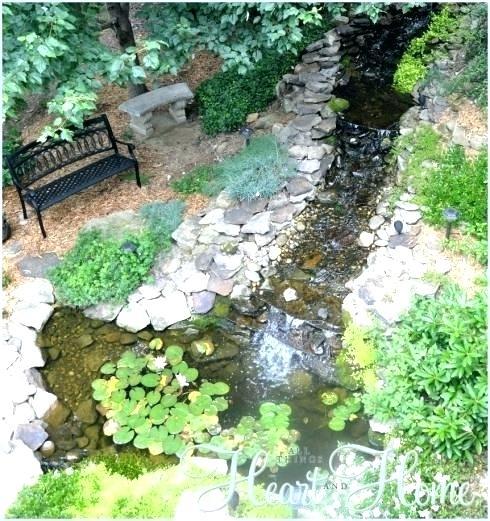 build-a-backyard-pond-and-waterfall-38_6 Изграждане на заден двор езерце и водопад