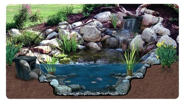 build-a-fish-pond-with-waterfall-14_7 Изграждане на рибно езерце с водопад