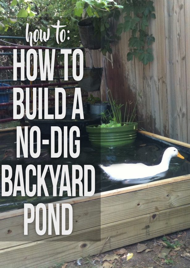 build-a-pond-in-your-backyard-85 Изграждане на езерце в задния двор