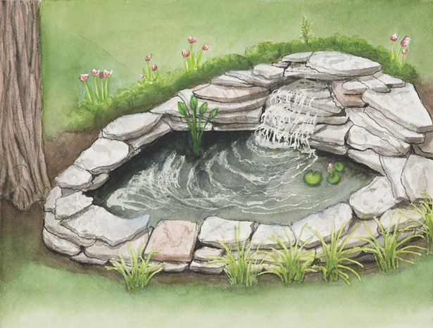 build-a-pond-in-your-backyard-85_10 Изграждане на езерце в задния двор
