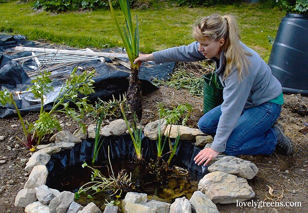 build-a-pond-in-your-backyard-85_15 Изграждане на езерце в задния двор
