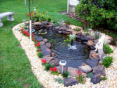 build-a-pond-in-your-backyard-85_3 Изграждане на езерце в задния двор