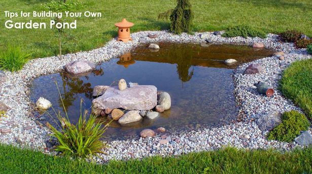 build-a-pond-in-your-backyard-85_7 Изграждане на езерце в задния двор