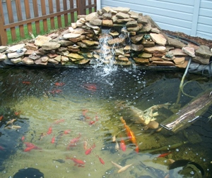 build-garden-pond-10_8 Изграждане на градинско езерце