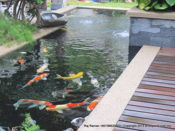 build-koi-fish-pond-69_10 Изграждане Кой риба езерце