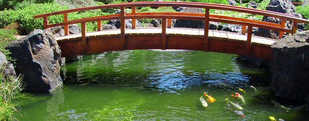 build-your-own-fish-pond-15 Изградете свое собствено рибно езерце
