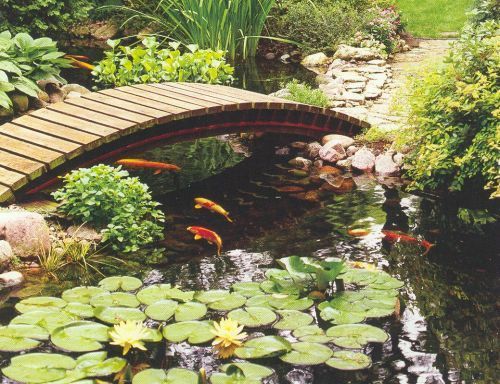 build-your-own-fish-pond-15_18 Изградете свое собствено рибно езерце
