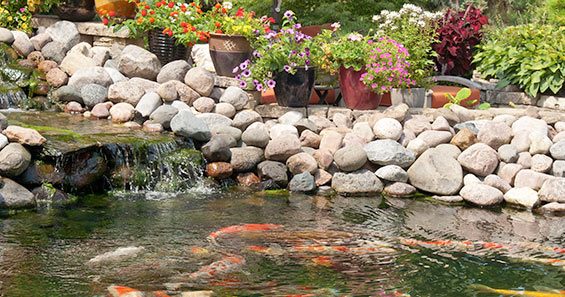 build-your-own-fish-pond-15_2 Изградете свое собствено рибно езерце