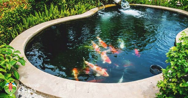 build-your-own-fish-pond-15_4 Изградете свое собствено рибно езерце