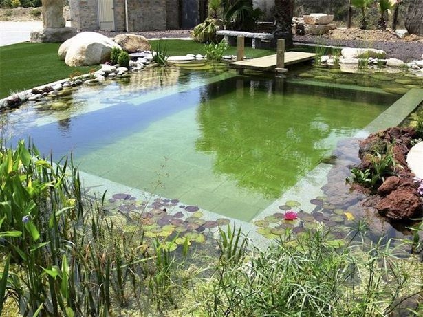 build-your-own-fish-pond-15_5 Изградете свое собствено рибно езерце