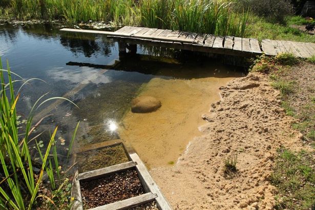 build-your-own-fish-pond-15_7 Изградете свое собствено рибно езерце