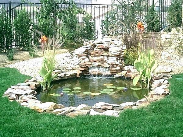 building-a-fish-pond-in-your-backyard-40_13 Изграждане на рибно езерце в задния двор