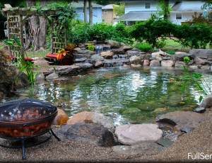 building-a-fish-pond-in-your-backyard-40_14 Изграждане на рибно езерце в задния двор