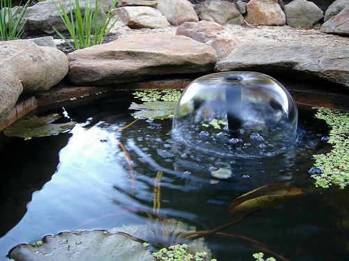 building-a-fish-pond-in-your-backyard-40_17 Изграждане на рибно езерце в задния двор