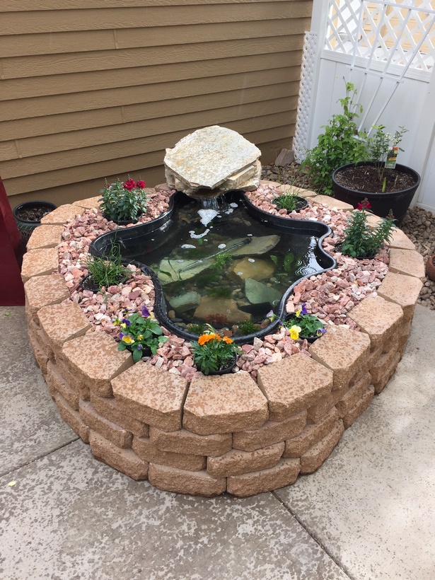 building-a-fish-pond-in-your-backyard-40_9 Изграждане на рибно езерце в задния двор