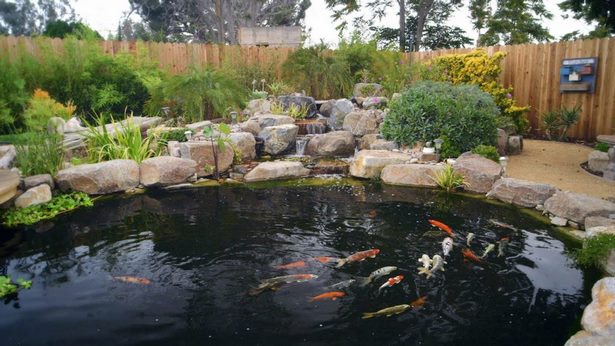 building-a-koi-pond-with-liner-18_12 Изграждане на езерце кои с лайнер