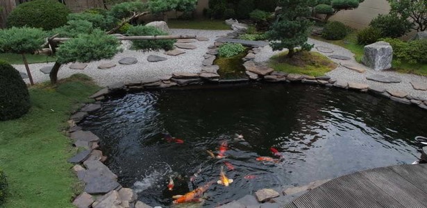 building-a-koi-pond-with-liner-18_13 Изграждане на езерце кои с лайнер