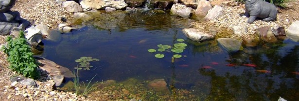 building-a-koi-pond-with-liner-18_9 Изграждане на езерце кои с лайнер