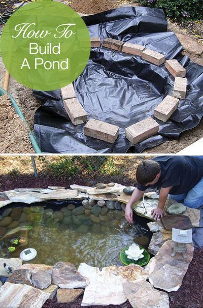 building-a-small-koi-pond-40_16 Изграждане на малко езерце кои