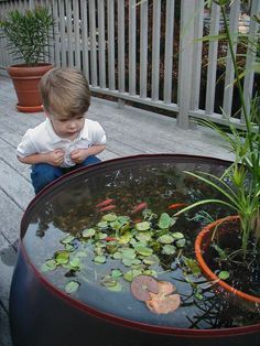 container-fish-pond-ideas-42_12 Контейнер риба езерце идеи