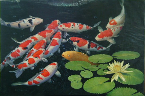 coy-pond-fish-86_2 Кой езерна риба