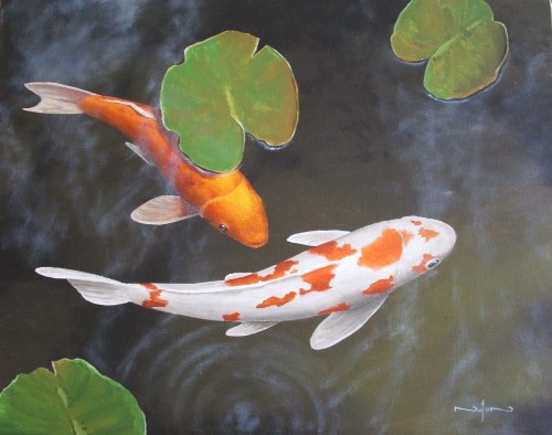 coy-pond-fish-86_5 Кой езерна риба