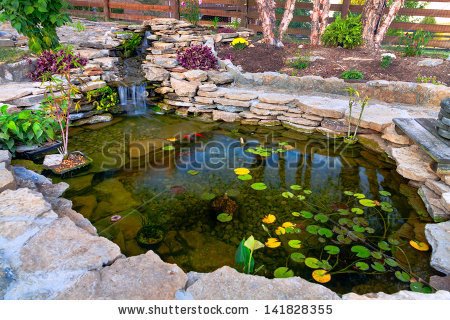 decorative-pond-98_12 Декоративно езерце