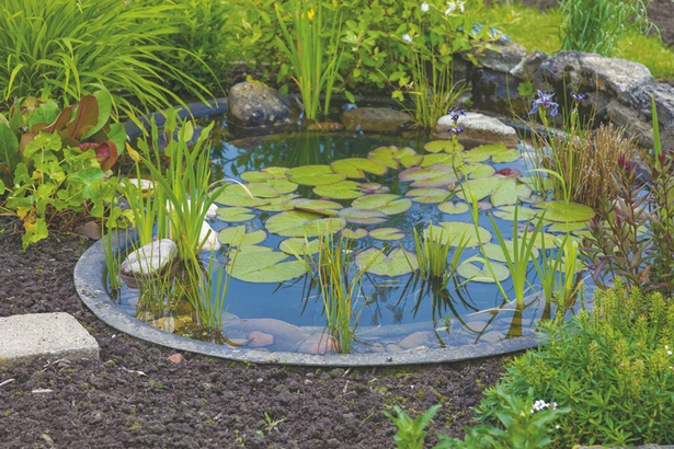 decorative-pond-98_5 Декоративно езерце