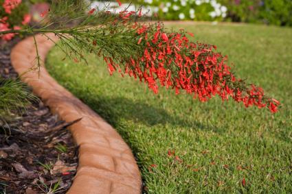 edging-for-lawns-and-flower-beds-56 Кант за тревни площи и цветни лехи