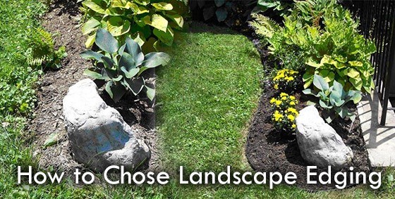 edging-for-lawns-and-flower-beds-56_4 Кант за тревни площи и цветни лехи
