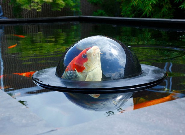 fish-pond-accessories-80_5 Риба езерце аксесоари