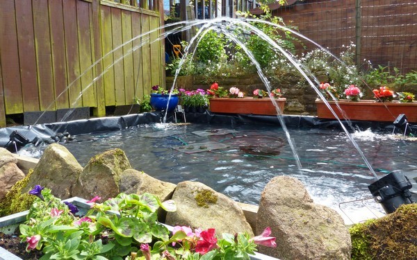 fish-pond-garden-water-features-76_10 Риба езерце градина водни функции