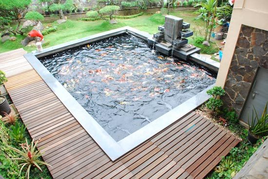 fish-pond-garden-water-features-76_17 Риба езерце градина водни функции