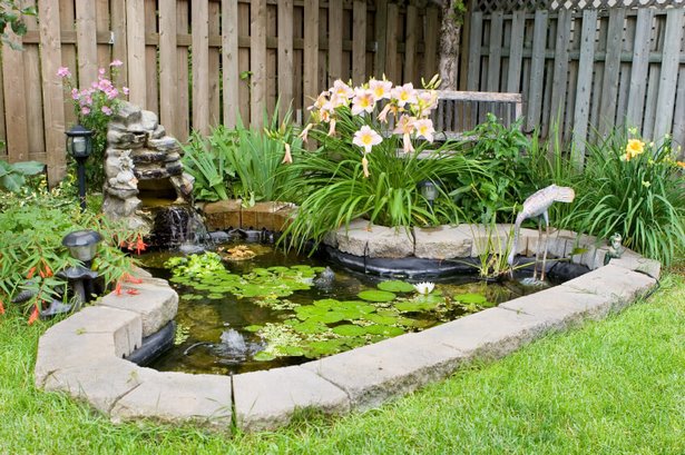 fish-pond-ideas-for-small-gardens-81_12 Идеи за рибно езерце за малки градини