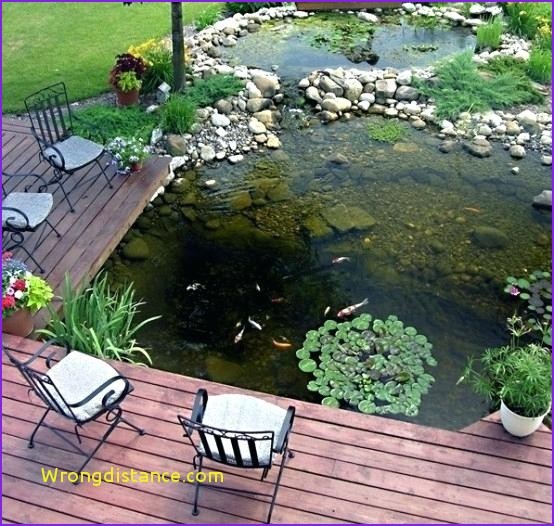 fish-pond-ideas-for-small-gardens-81_9 Идеи за рибно езерце за малки градини