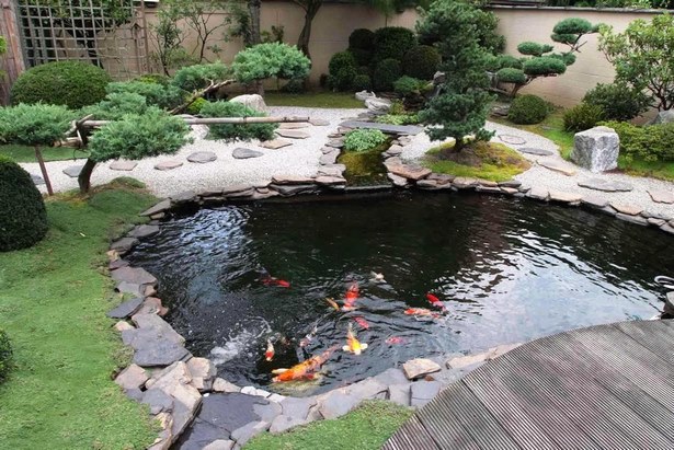 fish-pond-in-backyard-22_18 Рибно езерце в задния двор