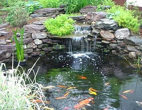 fish-pond-waterfall-ideas-74_10 Риба езеро водопад идеи