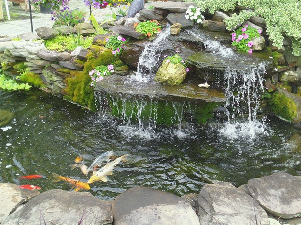 fish-pond-with-waterfall-59_5 Рибарник с водопад