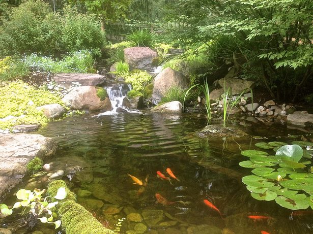 fish-pond-with-waterfall-59_6 Рибарник с водопад