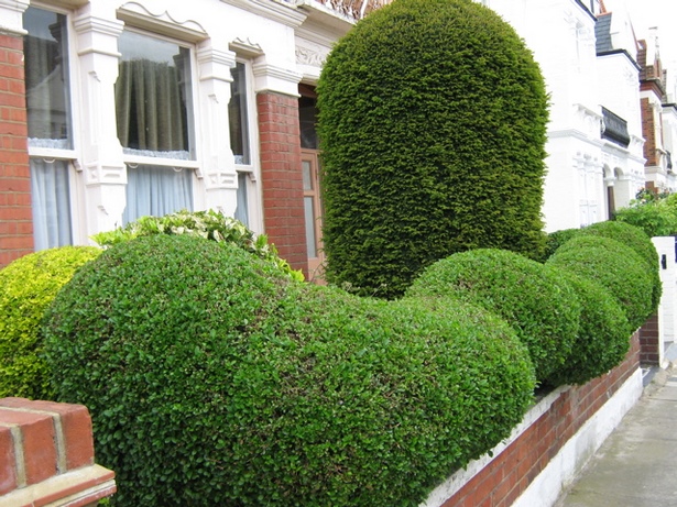 garden-hedge-designs-25_15 Градински хедж дизайни
