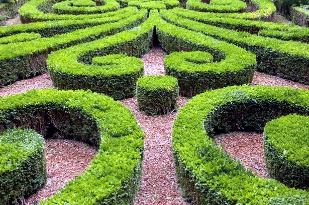 garden-hedge-designs-25_16 Градински хедж дизайни