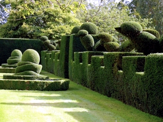 garden-hedge-designs-25_2 Градински хедж дизайни