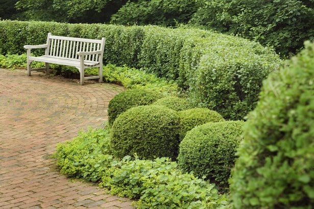 garden-hedge-designs-25_3 Градински хедж дизайни
